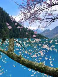 天啊，這裡不是富士山，是3月的九寨溝。