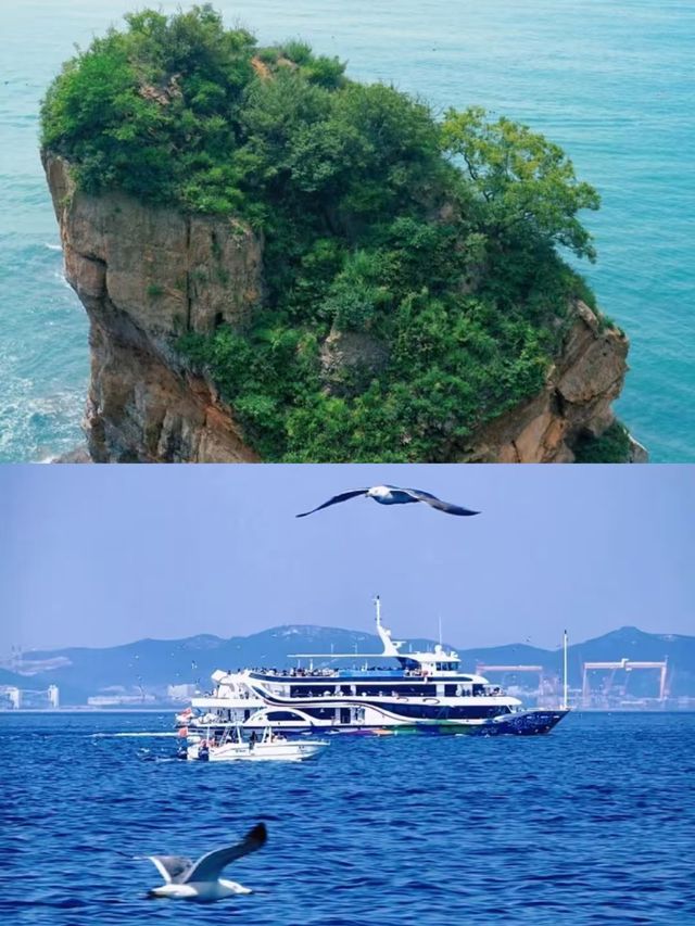 大連已回，看這一篇就夠了。