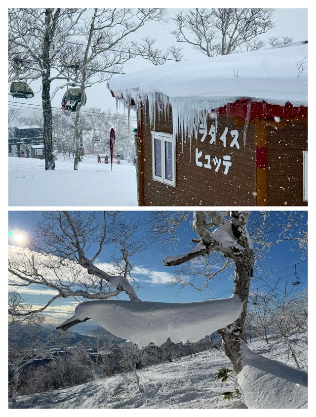 日本北海道二世古，粉雪天堂與霧凇仙境的夢幻奇遇。