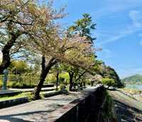 犬山市小眾秘境｜在犬山城與三光稻荷神社尋日式古韻