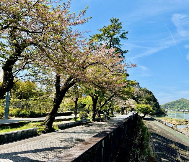 犬山市小眾秘境｜在犬山城與三光稻荷神社尋日式古韻