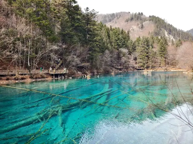 สภาพอันน่าเศร้าของจิ่วจ้ายโกว เดือนมีนาคม 2025!