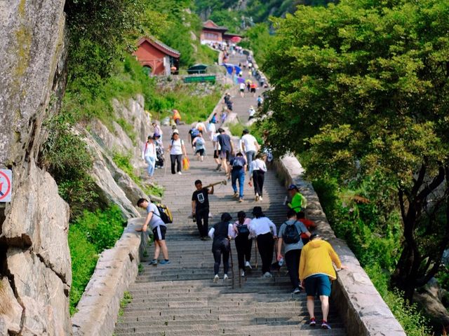 夜爬泰山睇日出，攰到麻痺但值得喊