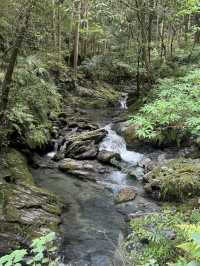 探索德島綠肺：中央公園，城市中的自然樂園！