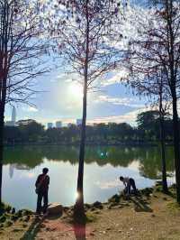 深圳最適合帶小朋友捉魚釣魚的公園