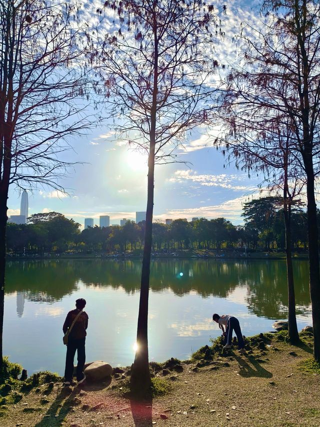 深圳最適合帶小朋友捉魚釣魚的公園