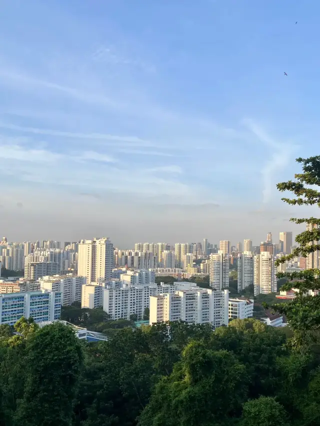 Seeking Greenery in the City