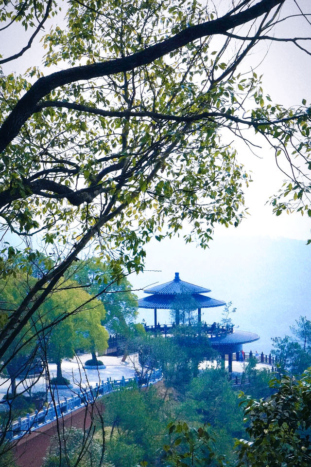 義烏雲黃禪寺/超適合放空自己的寶藏地方