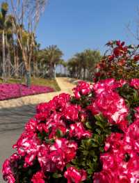 淡季城市輕旅行 | 前海石公園Citywalk全攻略 ——解鎖深圳西岸的橘子海與摩天輪浪漫 