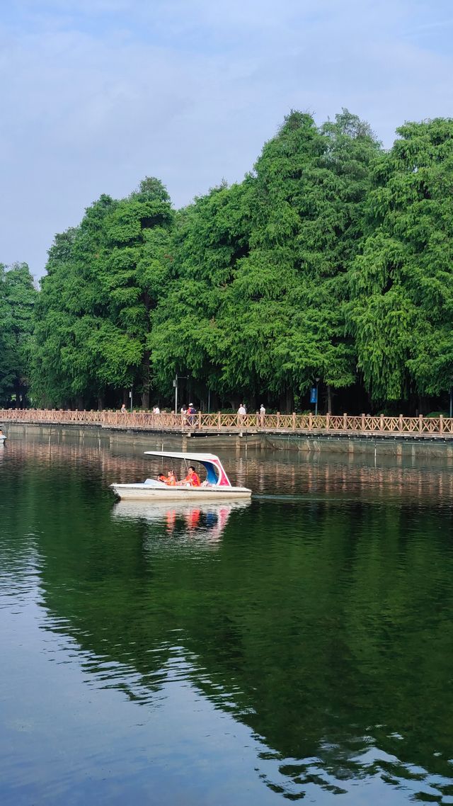 流花湖公園