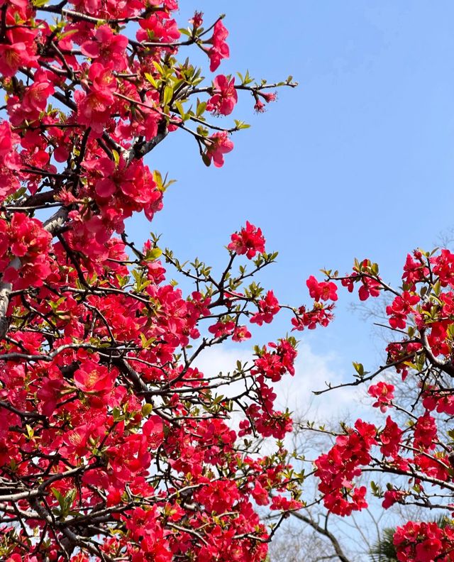 莫愁湖公園