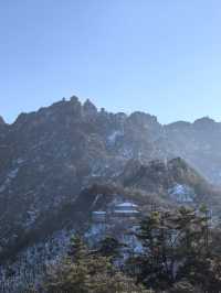 春遊熱門走起樂山-成都新風向 賞花也能這麼美
