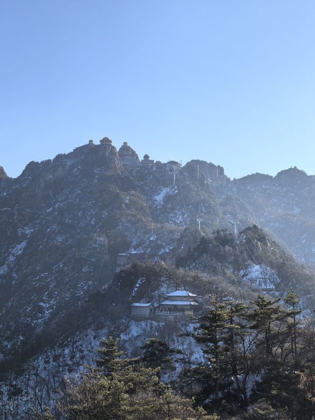 春遊熱門走起樂山-成都新風向 賞花也能這麼美
