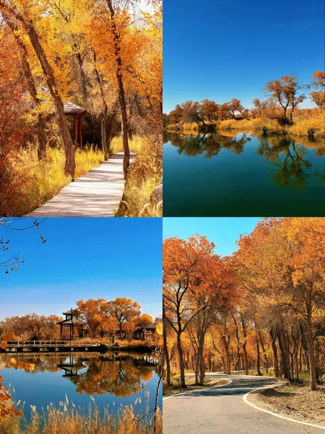 훌룬베이얼-싱안맹 6일 투어, 대초원 완전 정복