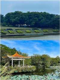 東莞玩了4天已回｜說說難聽大實話