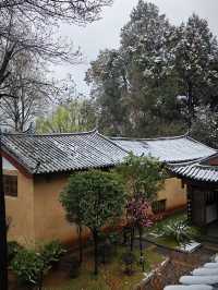春之雪-專屬春天的浪漫