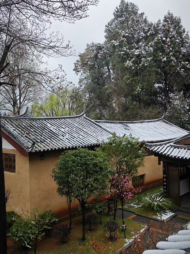 春之雪-專屬春天的浪漫