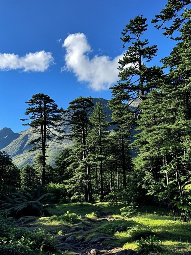 探秘雲南秘境 | 南極洛徒步：穿越「上帝遺落的淚珠」