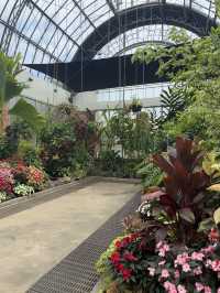 One Of The Best Free Things In Auckland, The Stunning Winter Gardens 