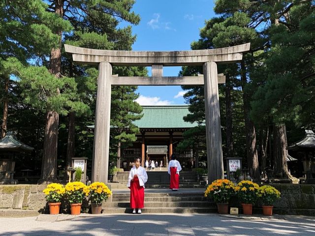 日本花卷市
