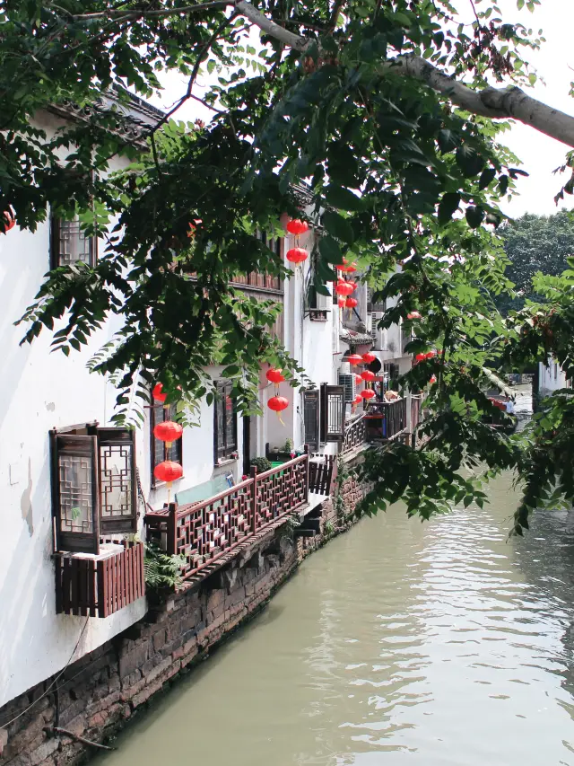 Suzhou Shantang Street Peach Blossom Viewing Guide!