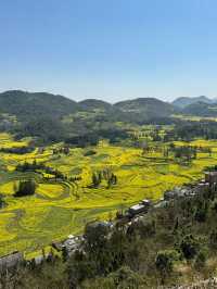 清明小長假 曲靖-玉溪旅遊攻略來襲別錯過