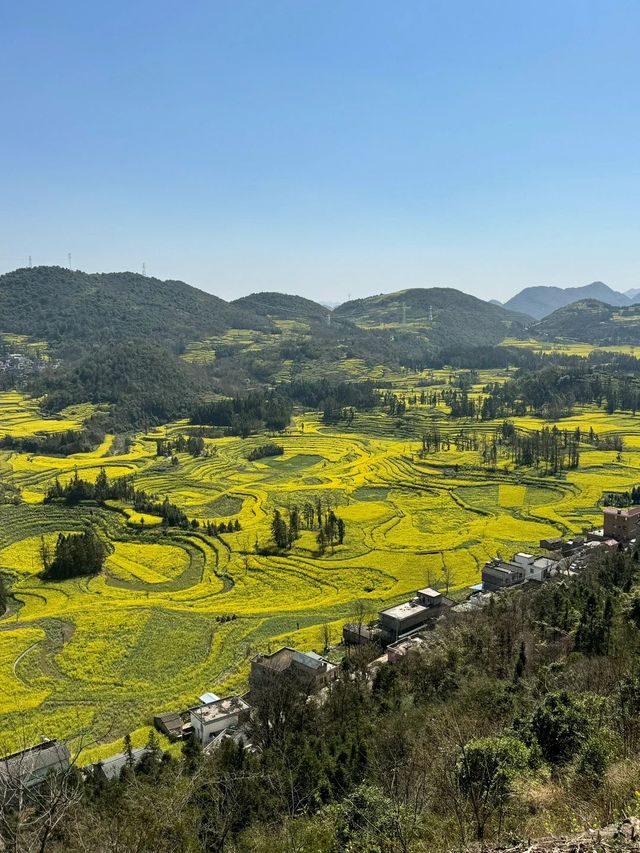 清明小長假 曲靖-玉溪旅遊攻略來襲別錯過