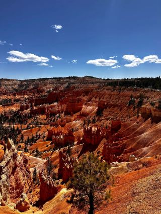 20일 미국 여행, 청명절 여행에 딱!
