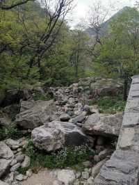 春日暢遊濟南-泰安-濟寧，美到令人心醉神迷