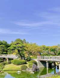 這裏是連日本當地人都鮮為人知的賞櫻秘境，它就藏在堺市大仙公園！