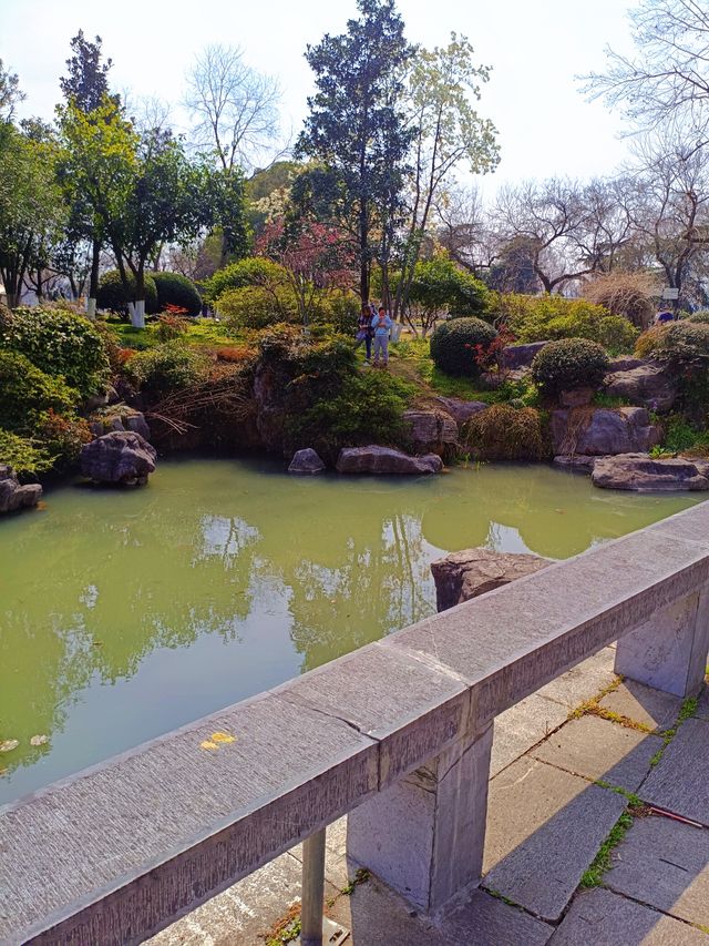 南京櫻花季莫愁湖&玄武湖賞櫻花全攻略