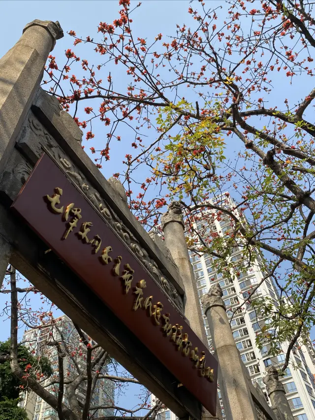 廣州農講所賞木棉花之旅