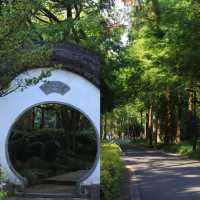 西溪濕地公園旅遊攻略