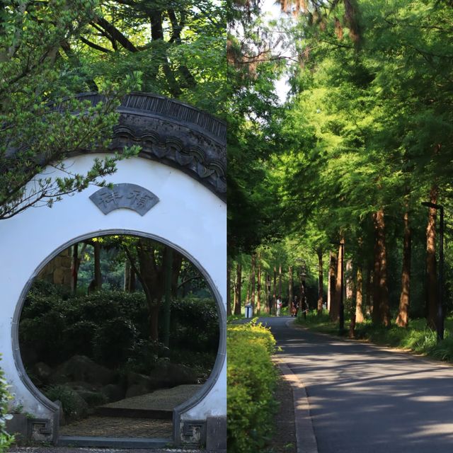 西溪濕地公園旅遊攻略