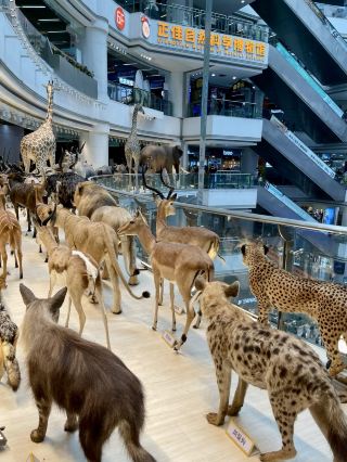 Exploring the Wonders of Life at the Grandview Natural Science Museum