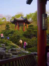 🌳深圳玉龍公園 | 鬧市中的隱世桃源