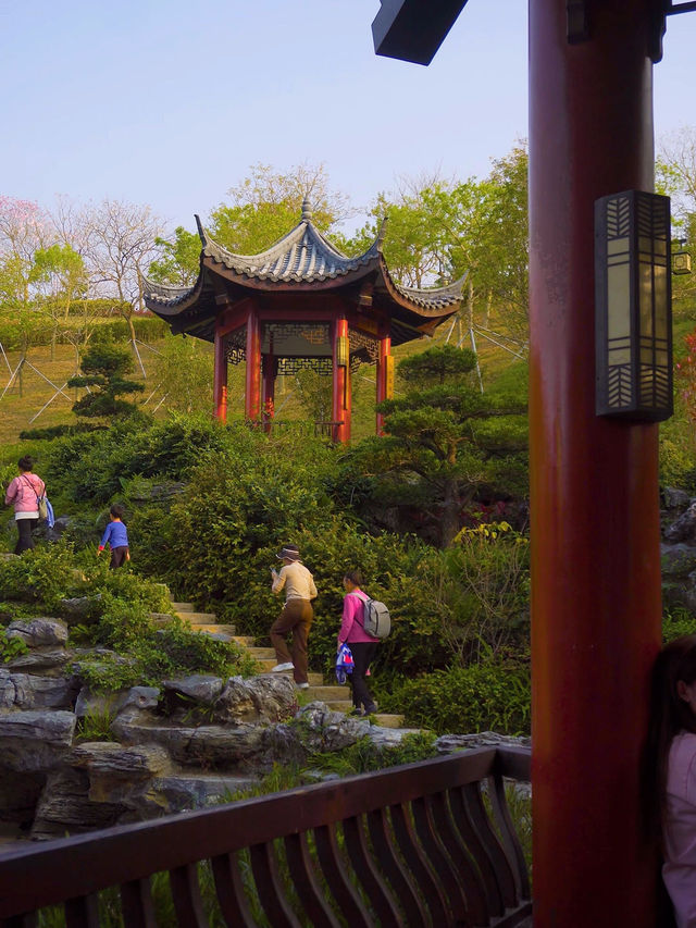 🌳深圳玉龍公園 | 鬧市中的隱世桃源