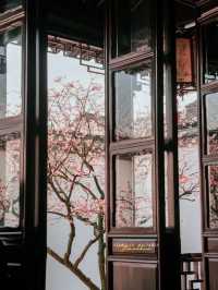 Experience the Enchanting Spring in Suzhou