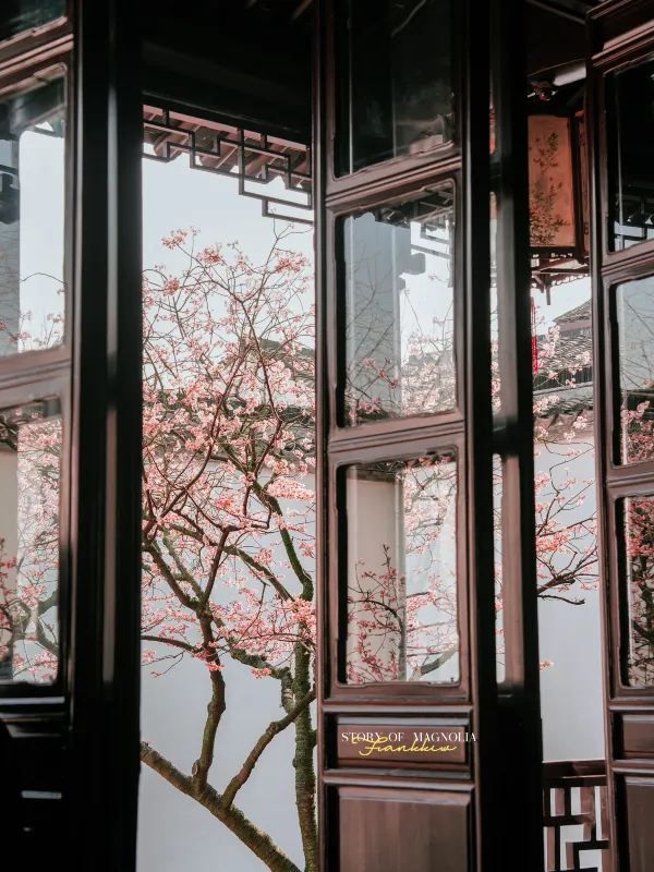 Experience the Enchanting Spring in Suzhou