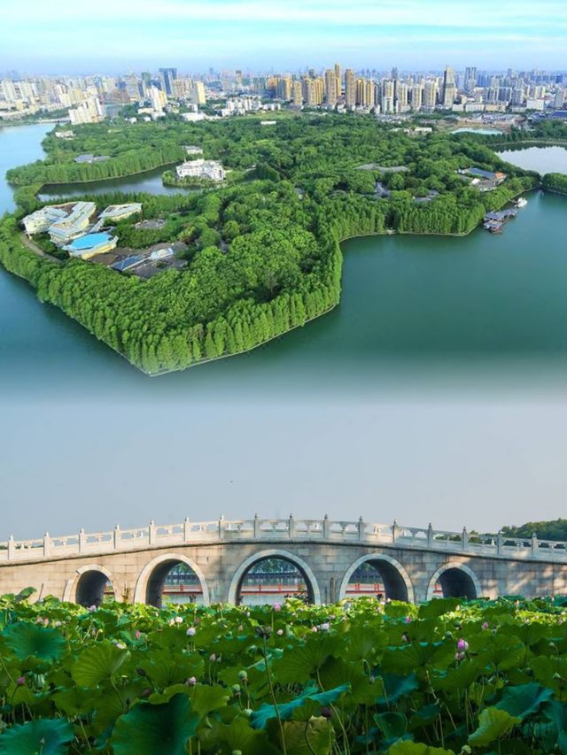 武漢陪同爸媽看世界打卡 東湖賓館