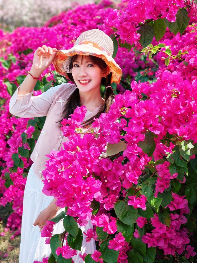 避開人潮賞花海！番禺小眾秘境全攻略