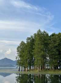 【江浙滬小阿勒泰｜四明湖春日草原寫真秘笈】