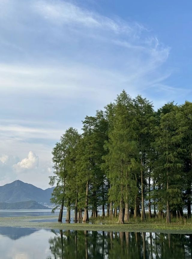 【江浙滬小阿勒泰｜四明湖春日草原寫真秘笈】