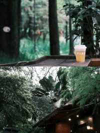 廣州｜陰雨天都啱去嘅精神避難所！