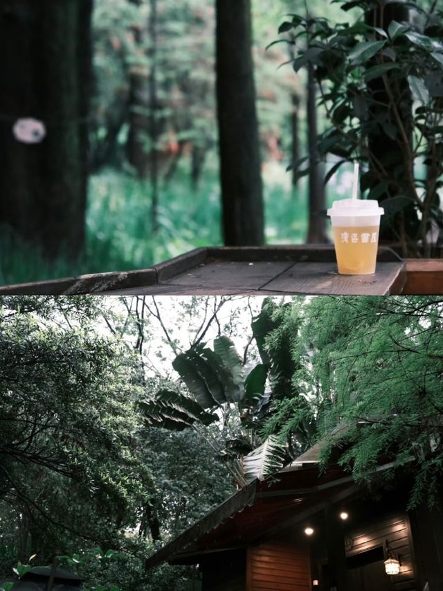 廣州｜陰雨天都啱去嘅精神避難所！