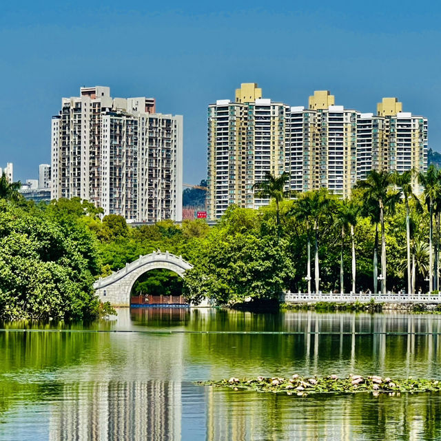 深圳原來有個荔枝公園？
