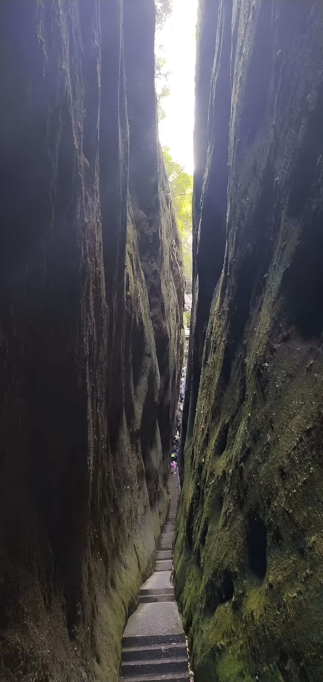 湘楚丹霞與荊楚銀杏嘅夢幻之旅