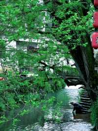 韓劇同款油菜花海|春日婺源超全旅遊攻略