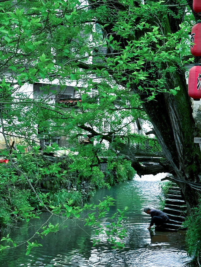 韓劇同款油菜花海|春日婺源超全旅遊攻略
