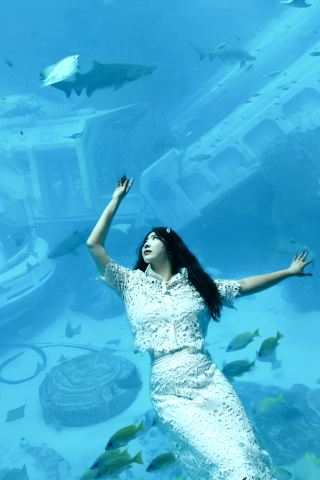 Abu Dhabi SeaWorld Travel Guide: Perfect Photo Spots
